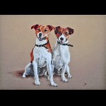 3 - Portrait 2 chiens - pastel